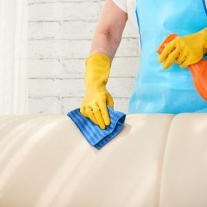 sofa cleaning