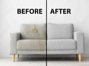 sofa and chair professional cleaning